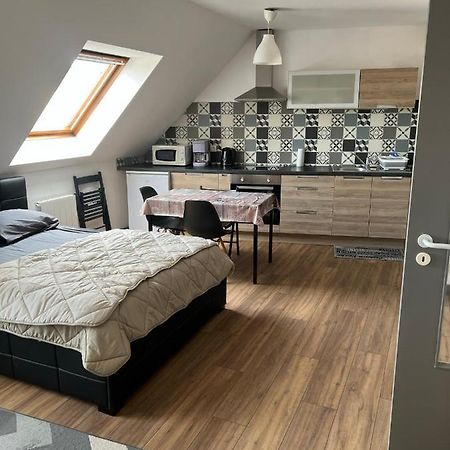 Super Appartement Colmar Centre Esterno foto