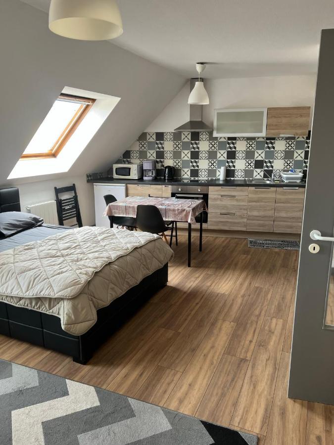Super Appartement Colmar Centre Esterno foto