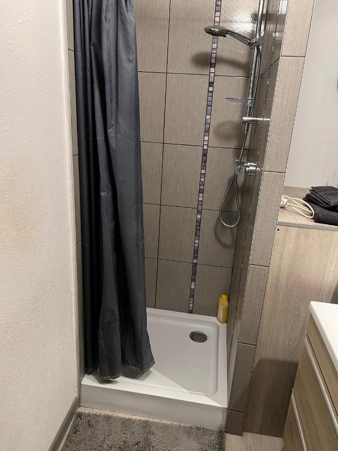 Super Appartement Colmar Centre Esterno foto