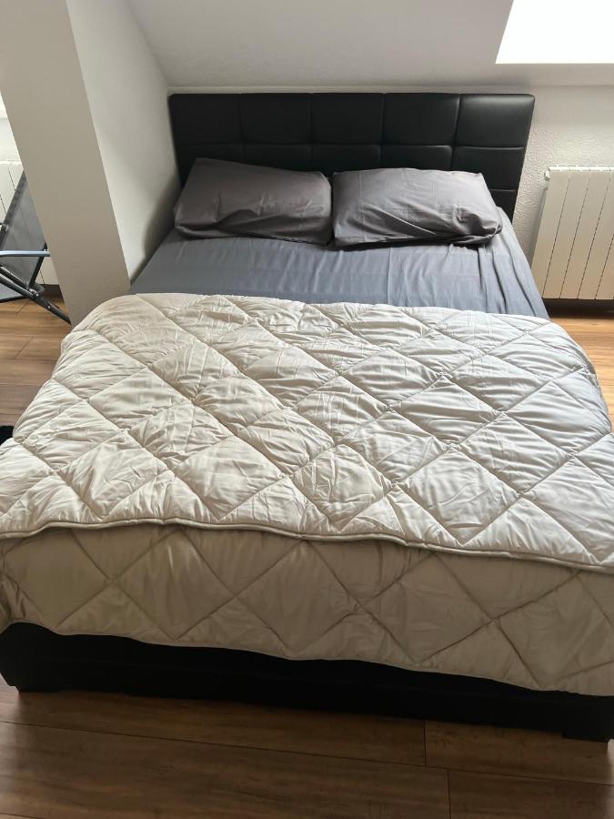 Super Appartement Colmar Centre Esterno foto